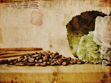Кофе (3 wallpaper)