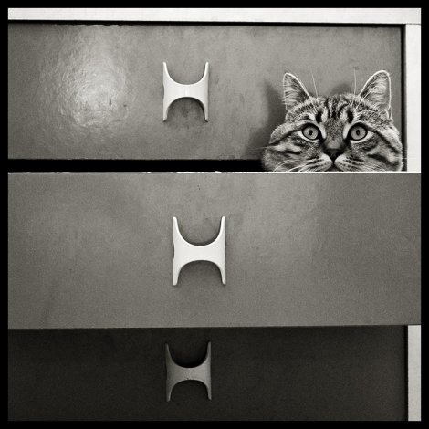 Кот в мешке, мешок в шкафу, шкаф...
