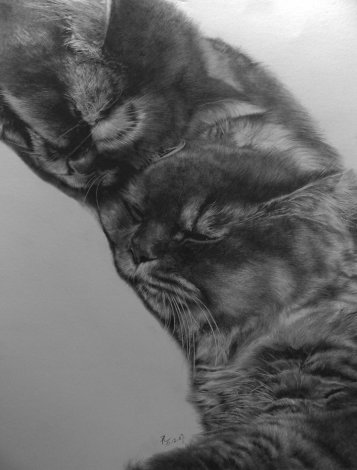 Карандашные рисунки котов