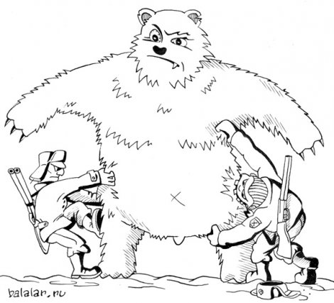В БЮТ предлагают бороться с кризисом шкурами неубитых медведей