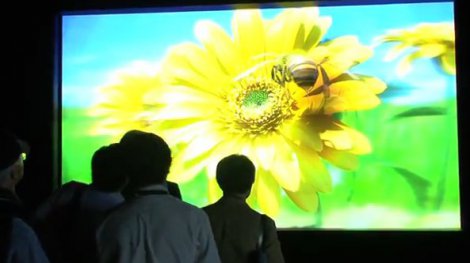 В Японии показали 200-дюймовый 3D экран