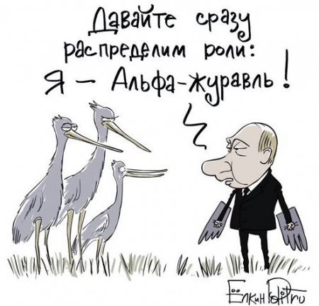 Кто если не Путин: перелётный клоун в белом маскхалате летел на дельтаплане перед журавлём