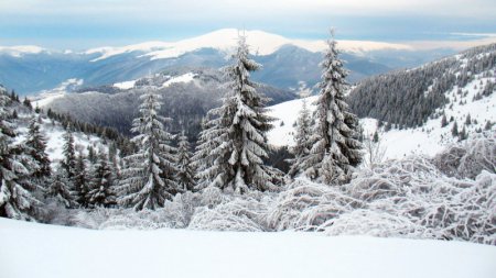 Отправляемся в Карпаты на зимние каникулы!