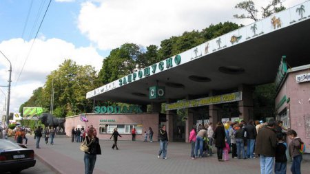 Киевский зоопарк. Место, в котором стоит побывать