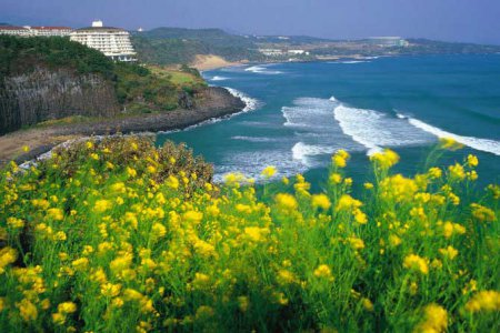 Остров Чеджу: дорогая жемчужина Южной Кореи