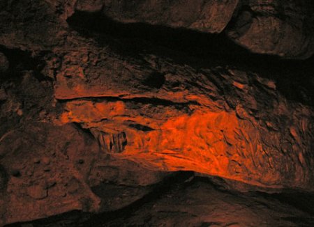 Каменный питон раскрыл секрет самого первого культа на Земле