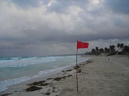 Ужасы океана или почему нельзя купаться при красных флагах