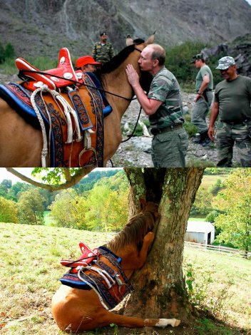 Путин вскружил голову лошади