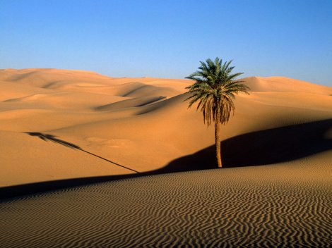Ливия. Фото пустыни