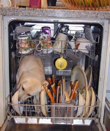 Как на самом деле работает посудомоечная машина
